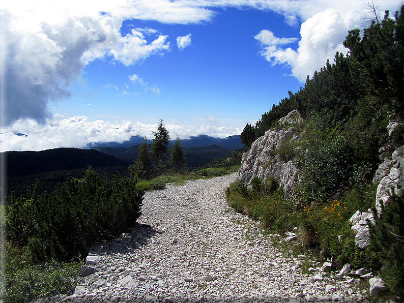 foto Percorso ad anello Caldiera,Ortigara,Lozze